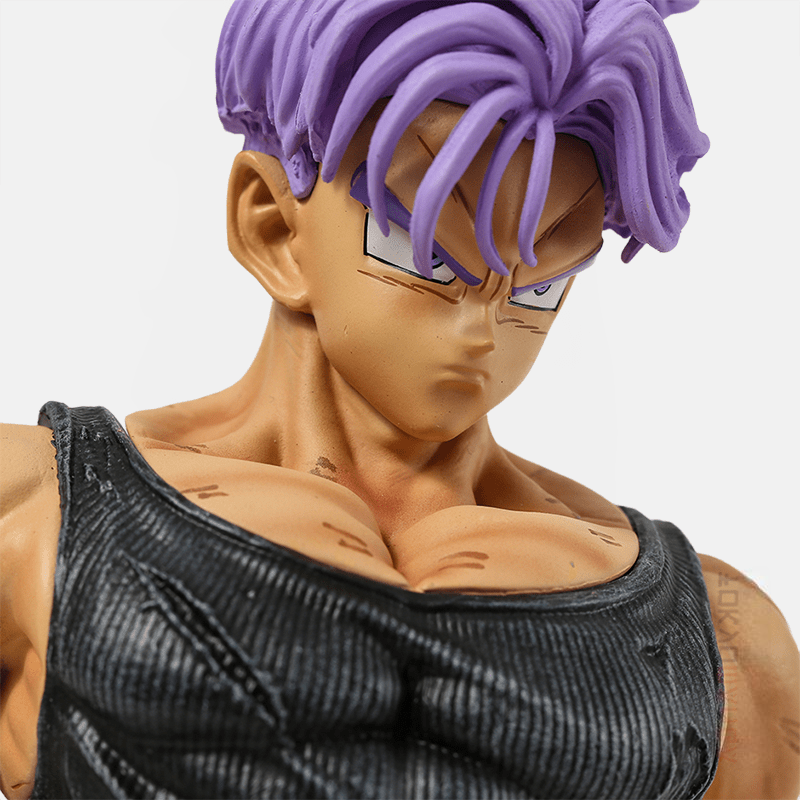 Figura Dragon Ball Z<br> Baúles del futuro